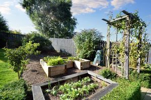 Vegetable and fruit garden- click for photo gallery